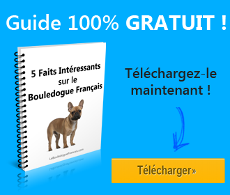 guide bouledogue francais